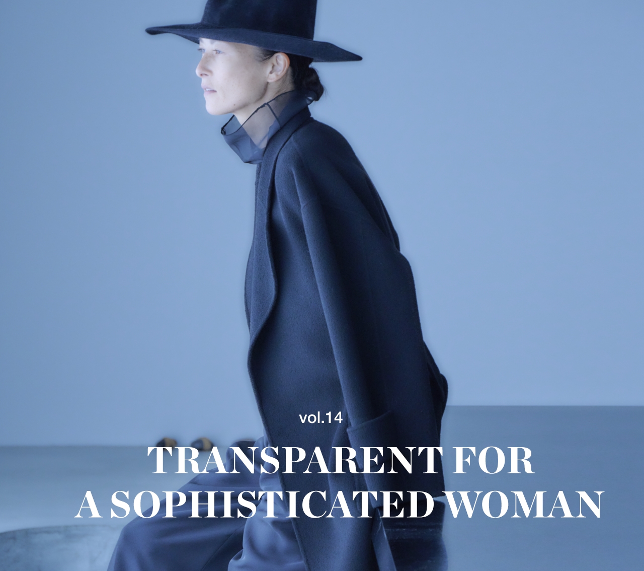 transparent for a sophisticated woman
